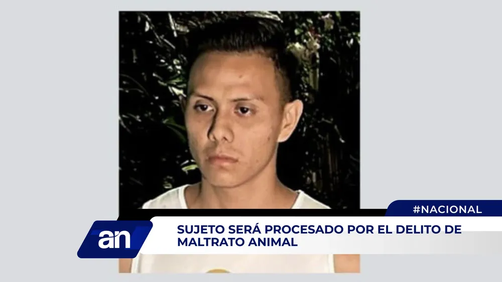 NOTIS_Mesa de trabajo 1