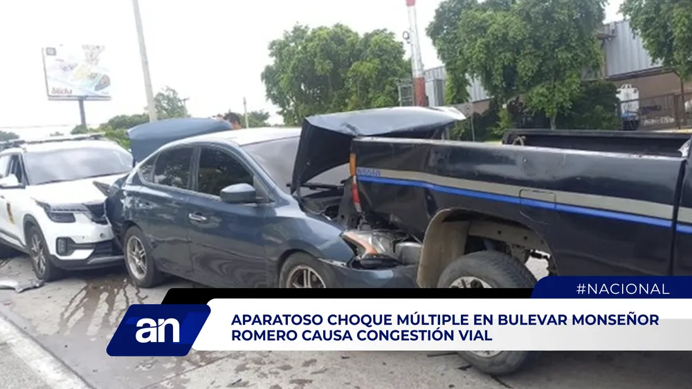 AN Formato 02_Mesa de trabajo 1 copia 5 (1)