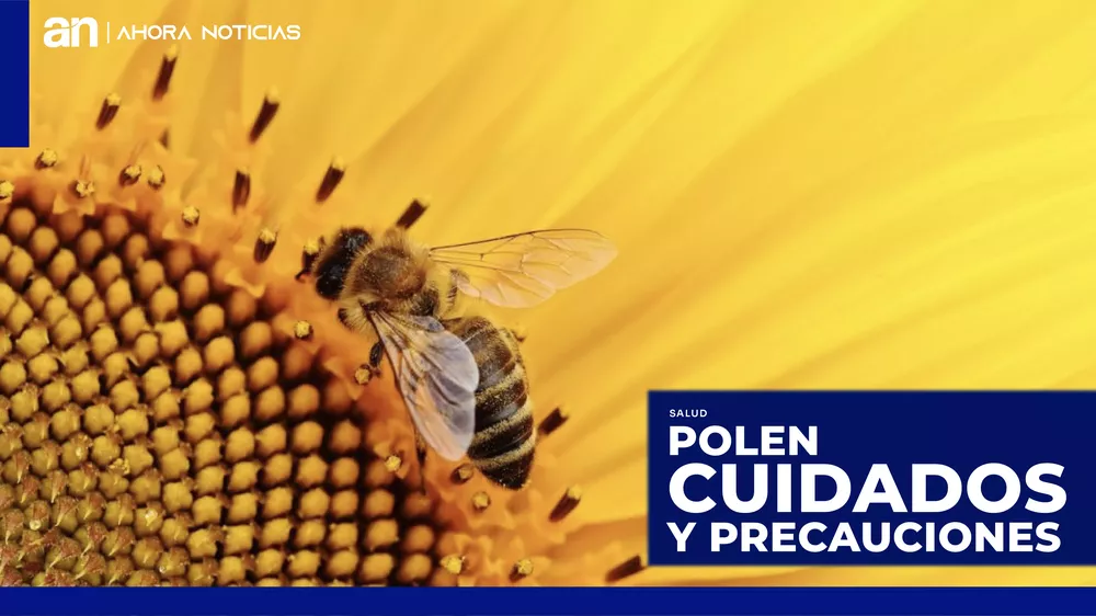 polen_Mesa de trabajo 1