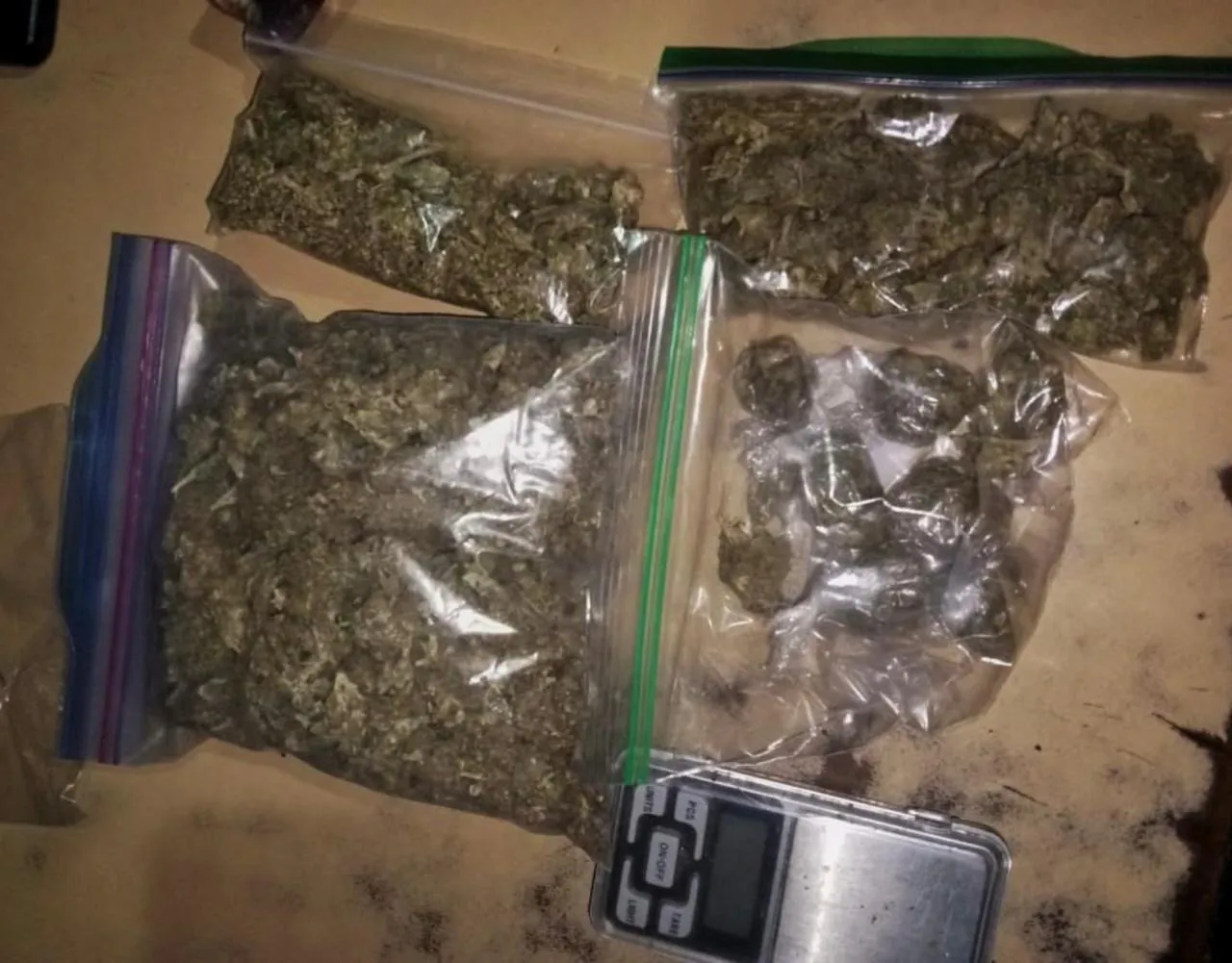 WhatsApp Image 2024-08-23 at 10.31.28 AM