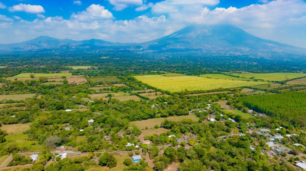 8d84db89-c7e9-43fc-b6ff-260646940933