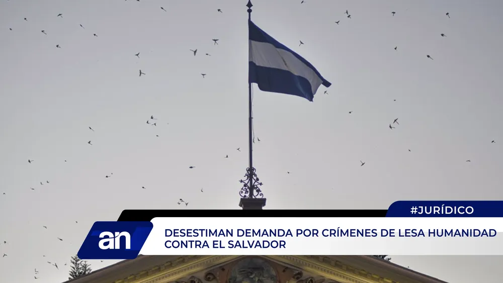 an_Mesa de trabajo 1 copia 2