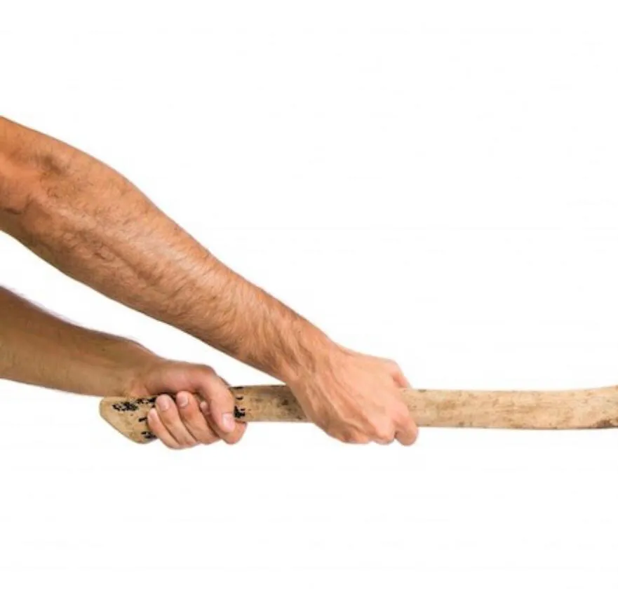 WhatsApp Image 2024-02-27 at 2.46.01 PM