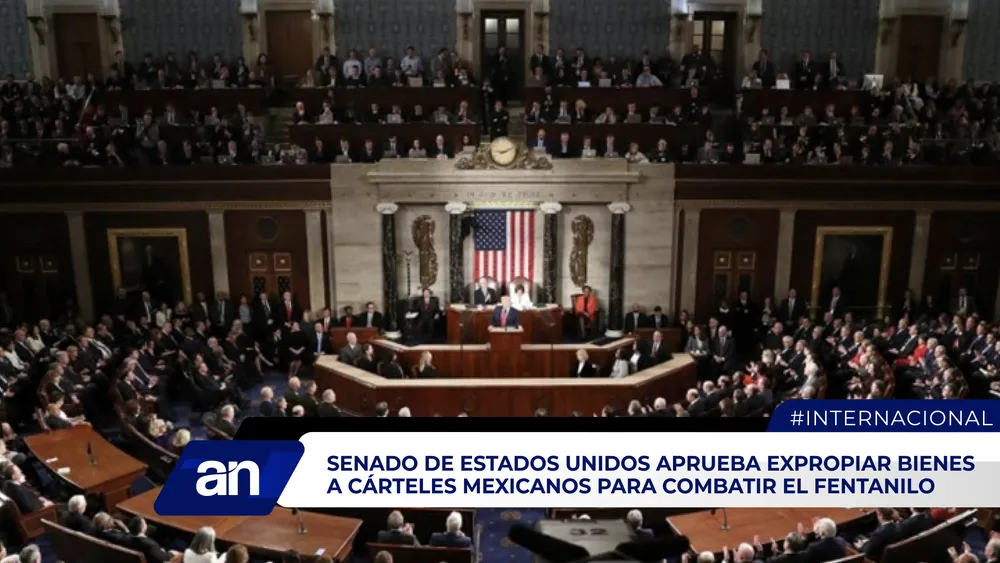 AN Formato 02_Mesa de trabajo 1 copia 2