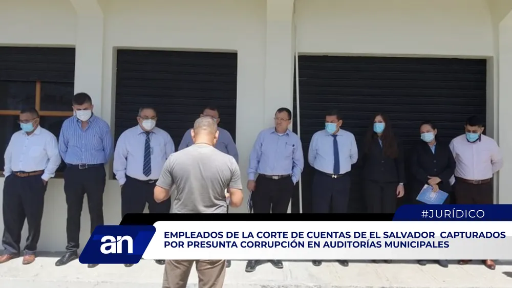 notii_Mesa de trabajo 1 copia 3